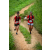 Team 28 / Raid Amazones Sri Lanka 2022 - J1 Trail