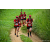 Team 20 / Raid Amazones Sri Lanka 2022 - J1 Trail