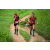 Team 09 / Raid Amazones Sri Lanka 2022 - J1 Trail