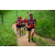 Team 308 / Raid Amazones Sri Lanka 2022 - J1 Trail