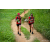 Team 60 / Raid Amazones Sri Lanka 2022 - J1 Trail