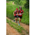 Team 06 / Raid Amazones Sri Lanka 2022 - J1 Trail