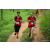 Team 43 / Raid Amazones Sri Lanka 2022 - J1 Trail
