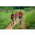 Team 55 / Raid Amazones Sri Lanka 2022 - J1 Trail