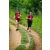 Team 62 / Raid Amazones Sri Lanka 2022 - J1 Trail
