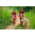 Team 75 / Raid Amazones Sri Lanka 2022 - J1 Trail