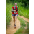 Team 58 / Raid Amazones Sri Lanka 2022 - J1 Trail