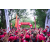 Raid Amazones Sri Lanka 2022 - J1 Trail