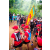 Raid Amazones Sri Lanka 2022 - J1 Trail