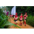 Team 335 / Raid Amazones Sri Lanka 2022 - J1 Trail
