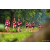 Team 28 / Raid Amazones Sri Lanka 2022 - J1 Trail