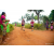 Team 303 / Raid Amazones Sri Lanka 2022 - J1 Trail