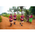 Team 320 / Raid Amazones Sri Lanka 2022 - J1 Trail