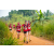 Team 311 / Raid Amazones Sri Lanka 2022 - J1 Trail