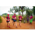 Team 310 / Raid Amazones Sri Lanka 2022 - J1 Trail