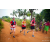 Team 319 / Raid Amazones Sri Lanka 2022 - J1 Trail