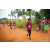 Team 340 / Raid Amazones Sri Lanka 2022 - J1 Trail