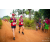 Team 60 / Raid Amazones Sri Lanka 2022 - J1 Trail