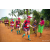 Team 328 / Raid Amazones Sri Lanka 2022 - J1 Trail