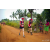 Team 83 / Raid Amazones Sri Lanka 2022 - J1 Trail