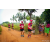 Team 31 / Raid Amazones Sri Lanka 2022 - J1 Trail
