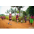 Team 34 / Raid Amazones Sri Lanka 2022 - J1 Trail
