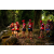 Raid Amazones Sri Lanka 2022 - J1 Trail