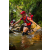 Team 15 / Raid Amazones Sri Lanka 2022 - J1 Trail