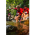 Team 67 / Raid Amazones Sri Lanka 2022 - J1 Trail