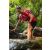 Team 08 / Raid Amazones Sri Lanka 2022 - J1 Trail