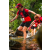 Team 08 / Raid Amazones Sri Lanka 2022 - J1 Trail