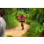 Team 85 / Raid Amazones Sri Lanka 2022 - J1 Trail