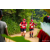 Team 35 / Raid Amazones Sri Lanka 2022 - J1 Trail