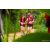 Team 34 / Raid Amazones Sri Lanka 2022 - J1 Trail