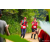 Team 65 / Raid Amazones Sri Lanka 2022 - J1 Trail