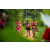 Raid Amazones Sri Lanka 2022 - J1 Trail