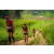 Team 81 / Raid Amazones Sri Lanka 2022 - J1 Trail