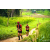 Team 93 / Raid Amazones Sri Lanka 2022 - J1 Trail