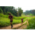 Team 93 / Raid Amazones Sri Lanka 2022 - J1 Trail