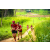 Team 53 / Raid Amazones Sri Lanka 2022 - J1 Trail