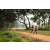 Raid Amazones Sri Lanka 2022 - J1 Trail