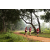 Team 303 / Raid Amazones Sri Lanka 2022 - J1 Trail