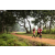 Team 304 / Raid Amazones Sri Lanka 2022 - J1 Trail
