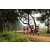 Raid Amazones Sri Lanka 2022 - J1 Trail