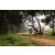 Team 306 / Raid Amazones Sri Lanka 2022 - J1 Trail