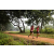 Team 14 / Raid Amazones Sri Lanka 2022 - J1 Trail