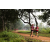 Team 06 / Raid Amazones Sri Lanka 2022 - J1 Trail
