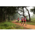 Team 308 / Raid Amazones Sri Lanka 2022 - J1 Trail