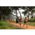 Raid Amazones Sri Lanka 2022 - J1 Trail