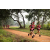 Team 320 / Raid Amazones Sri Lanka 2022 - J1 Trail